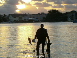 Dive buddy at sunrise, Blue Heron Bridge, West Palm Beach... by Nate Ewigman 